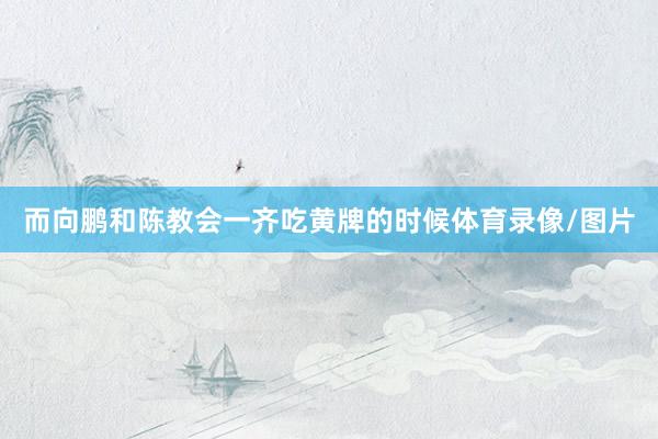 而向鹏和陈教会一齐吃黄牌的时候体育录像/图片