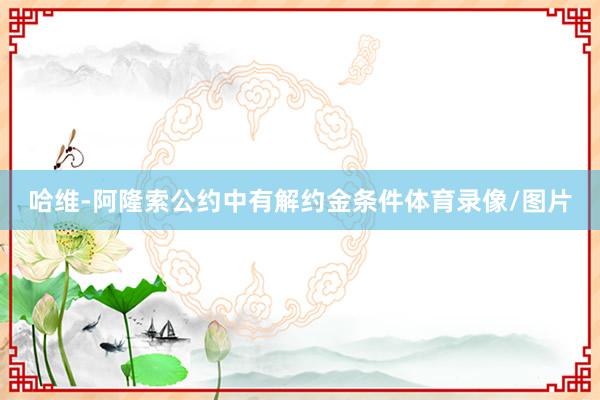 哈维-阿隆索公约中有解约金条件体育录像/图片