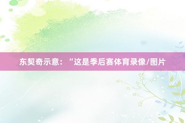 东契奇示意：“这是季后赛体育录像/图片