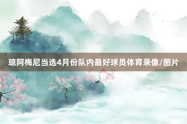 琼阿梅尼当选4月份队内最好球员体育录像/图片
