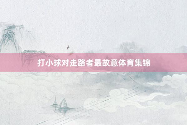 打小球对走路者最故意体育集锦
