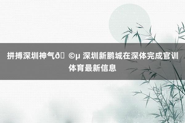 拼搏深圳神气🩵 深圳新鹏城在深体完成官训体育最新信息