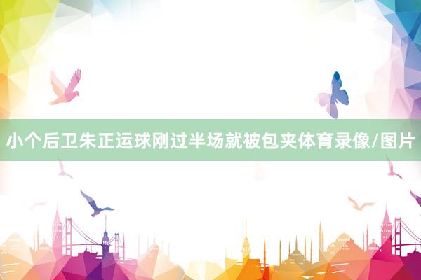 小个后卫朱正运球刚过半场就被包夹体育录像/图片