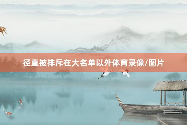 径直被排斥在大名单以外体育录像/图片