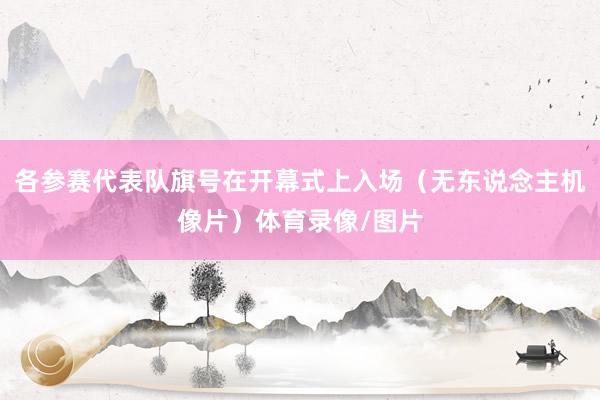 各参赛代表队旗号在开幕式上入场（无东说念主机像片）体育录像/图片