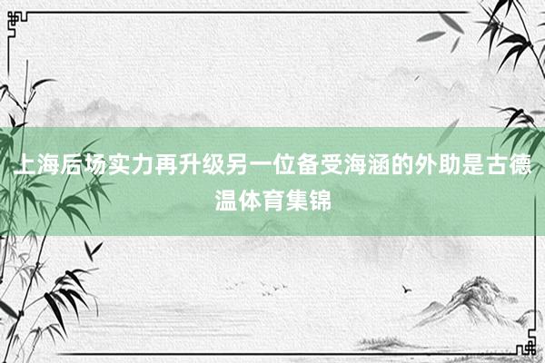 上海后场实力再升级另一位备受海涵的外助是古德温体育集锦