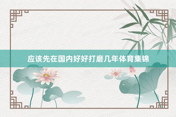 应该先在国内好好打磨几年体育集锦