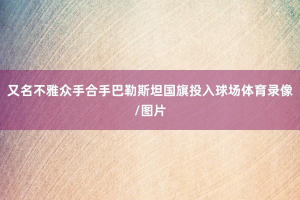 又名不雅众手合手巴勒斯坦国旗投入球场体育录像/图片