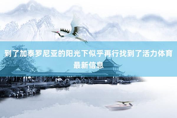 到了加泰罗尼亚的阳光下似乎再行找到了活力体育最新信息