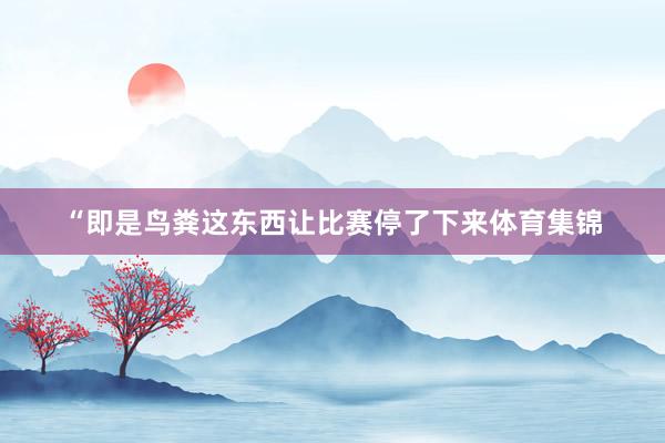 “即是鸟粪这东西让比赛停了下来体育集锦