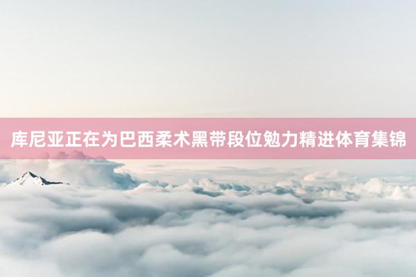 库尼亚正在为巴西柔术黑带段位勉力精进体育集锦