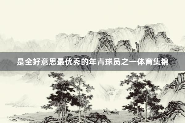 是全好意思最优秀的年青球员之一体育集锦