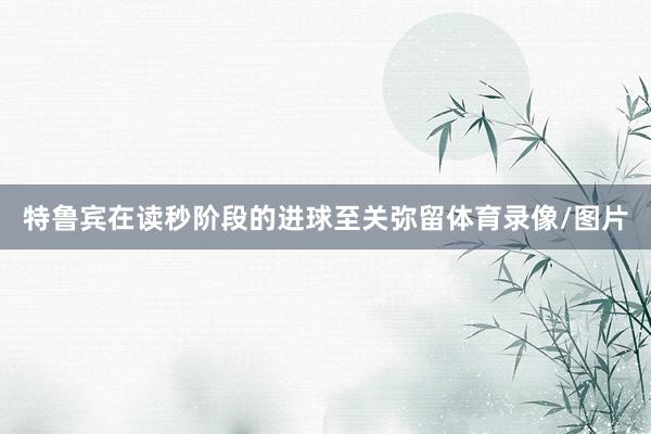 特鲁宾在读秒阶段的进球至关弥留体育录像/图片
