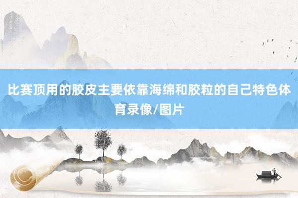 比赛顶用的胶皮主要依靠海绵和胶粒的自己特色体育录像/图片