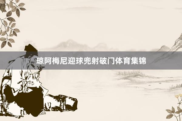 琼阿梅尼迎球兜射破门体育集锦