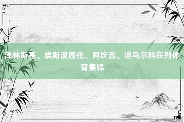 泽林斯基、埃斯波西托、阿坎吉、迪马尔科在列体育集锦