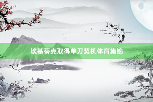 埃基蒂克取得单刀契机体育集锦