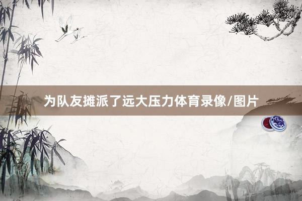 为队友摊派了远大压力体育录像/图片