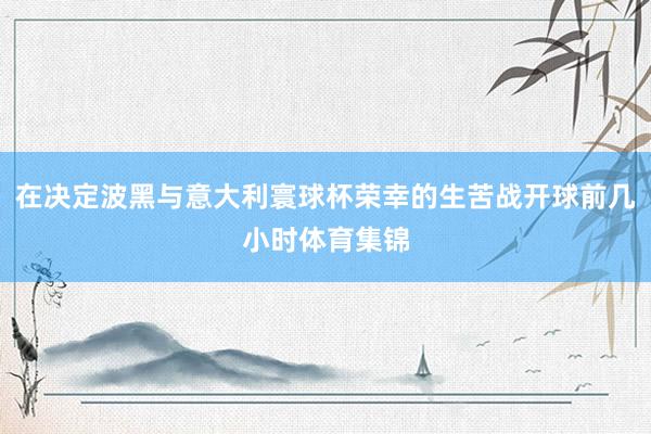 在决定波黑与意大利寰球杯荣幸的生苦战开球前几小时体育集锦