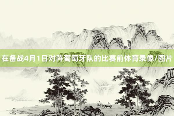 在备战4月1日对阵葡萄牙队的比赛前体育录像/图片