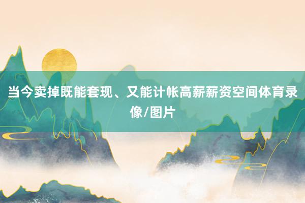 当今卖掉既能套现、又能计帐高薪薪资空间体育录像/图片