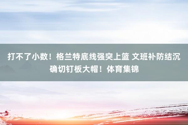 打不了小数！格兰特底线强突上篮 文班补防结沉确切钉板大帽！体育集锦