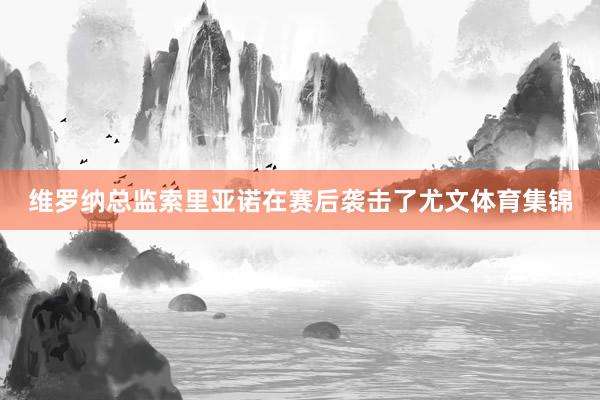 维罗纳总监索里亚诺在赛后袭击了尤文体育集锦