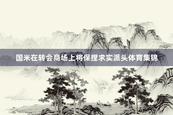 国米在转会商场上将保捏求实派头体育集锦