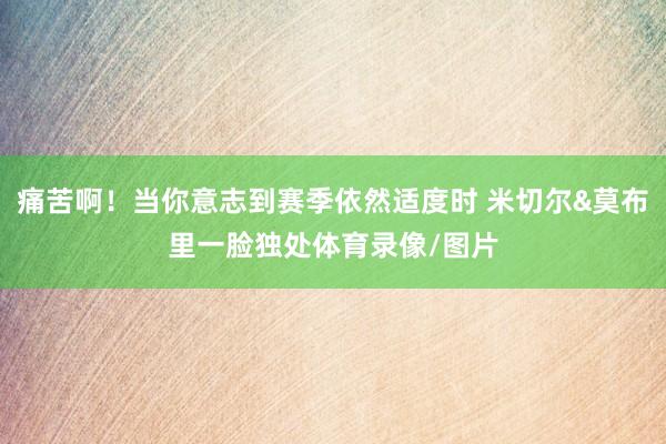 痛苦啊！当你意志到赛季依然适度时 米切尔&莫布里一脸独处体育录像/图片